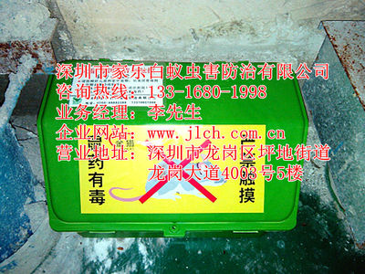 坪山專業除蟲滅鼠、白蟻防治