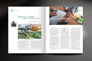 圖 深圳石巖產(chǎn)品畫冊設計,企業(yè)畫冊專業(yè)設計,石巖折頁設計公司 深圳設計策劃